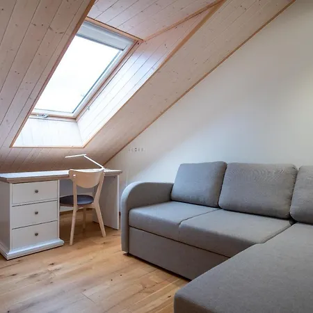 Dream - Homelike Family Penthouse In City Center Appartement