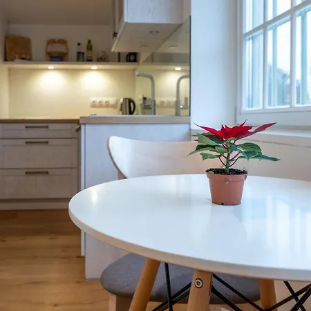Apartment Dream - Homelike Family Penthouse In City Center Reval